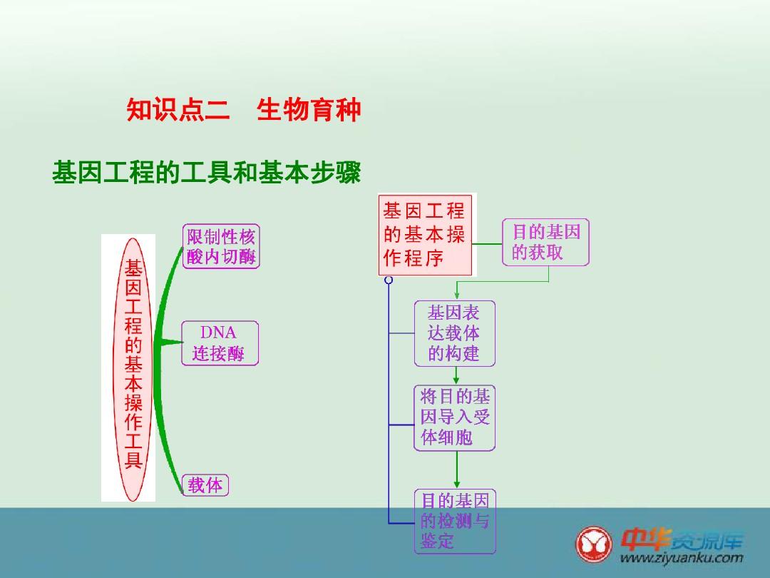 2016屆湖南長沙長郡中學(xué)高三生物一輪復(fù)習(xí)課件:人類遺傳病與生物育種(