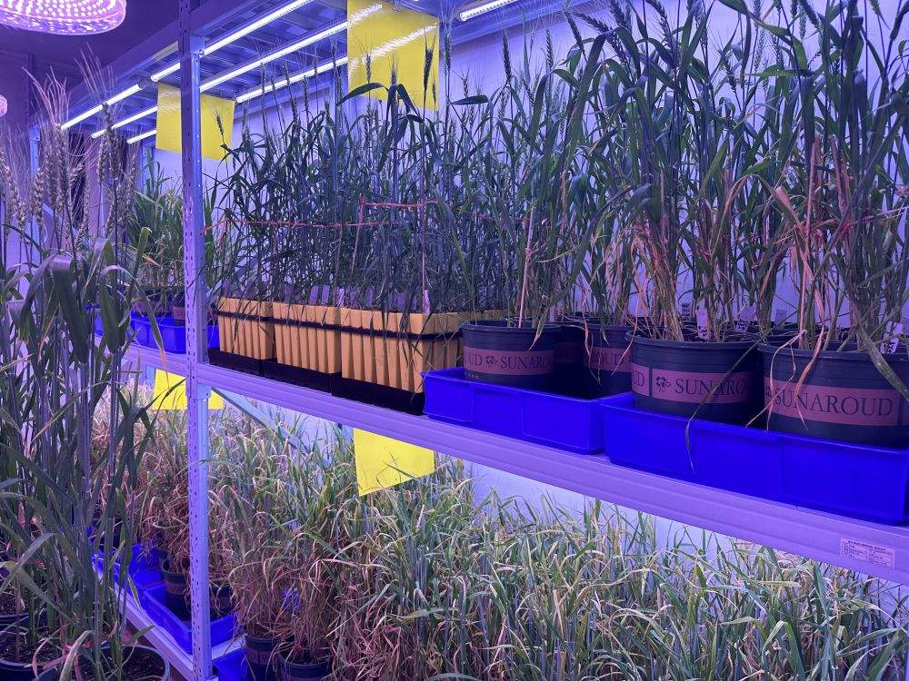 青海初步建成青藏高原生物種質(zhì)資源庫(kù)