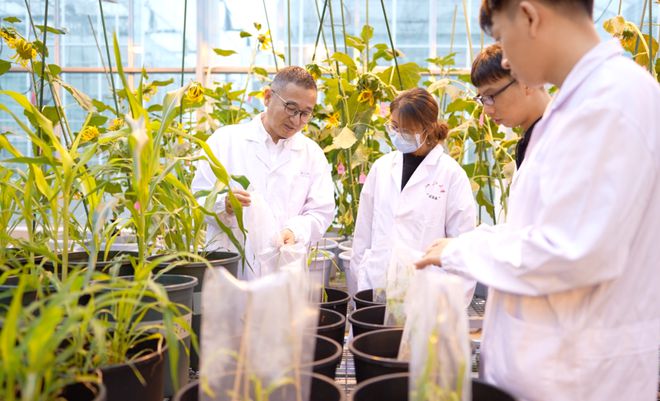 沈志成:創(chuàng)新生物育種技術(shù),可以有所為有所不為丨新年問大咖